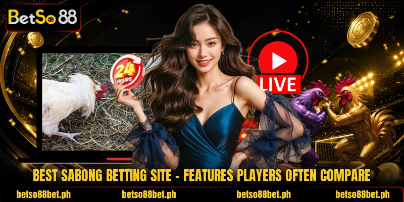 Best Sabong Betting Site – Features Players Often Compare