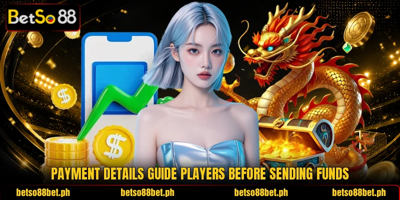 Payment details guide players before sending funds Payment details guide players before sending funds