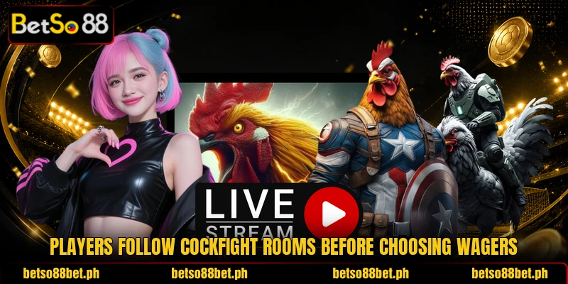 Players follow cockfight rooms before choosing wagers Players follow cockfight rooms before choosing wagers