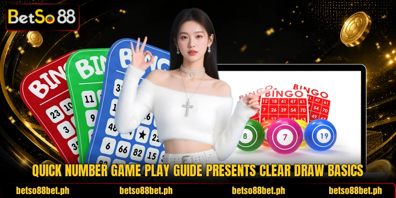 Quick Number Game play guide presents clear draw basics